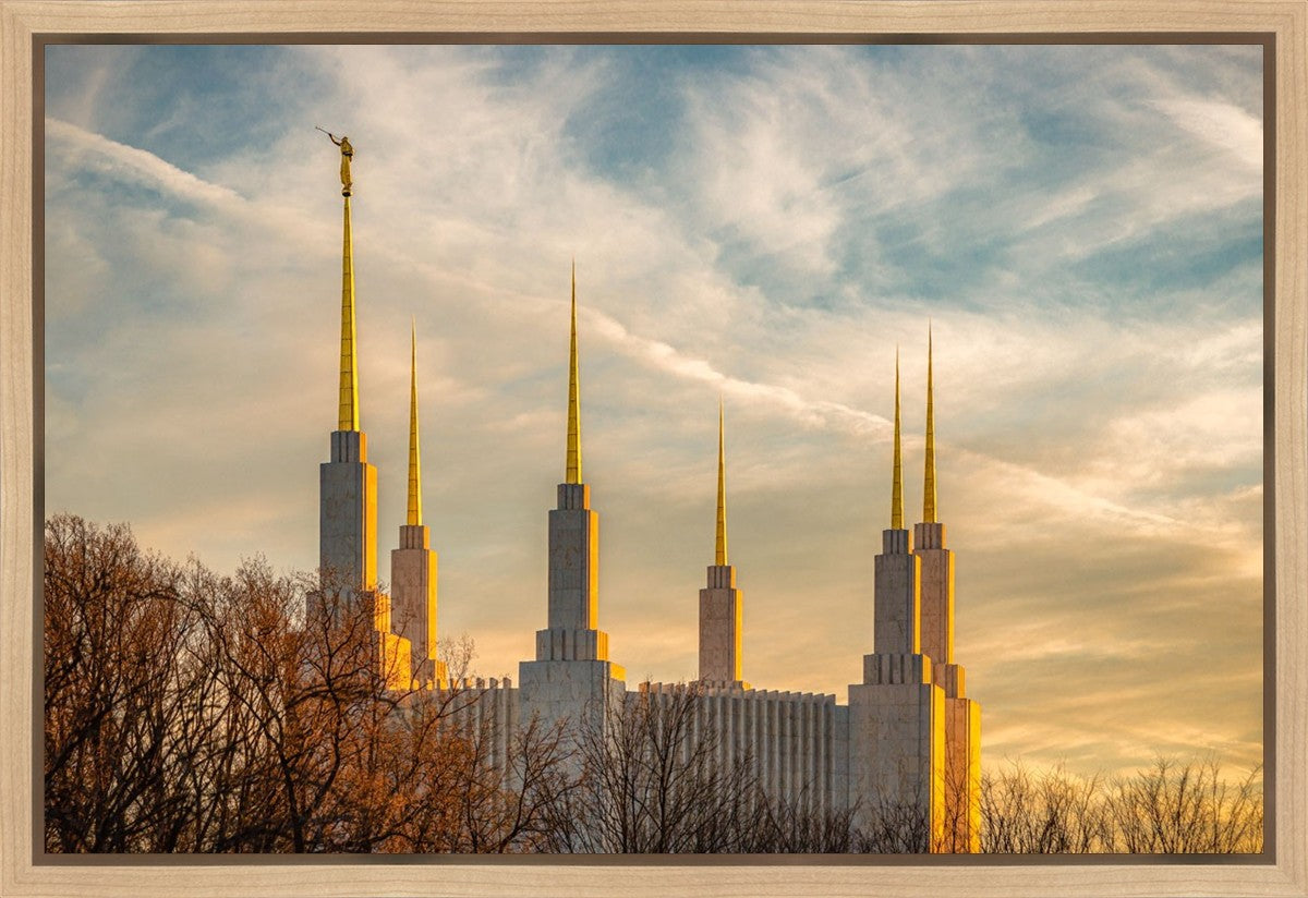 Washington DC Golden Hour Gallery Wrap