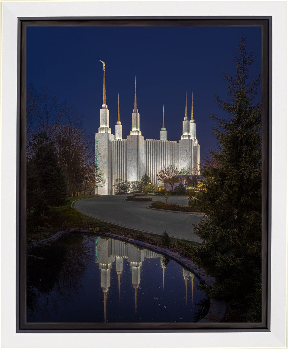 Washington DC Majestic Blue