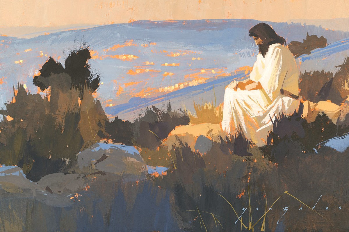 Light on A Hill Gallery Wrap