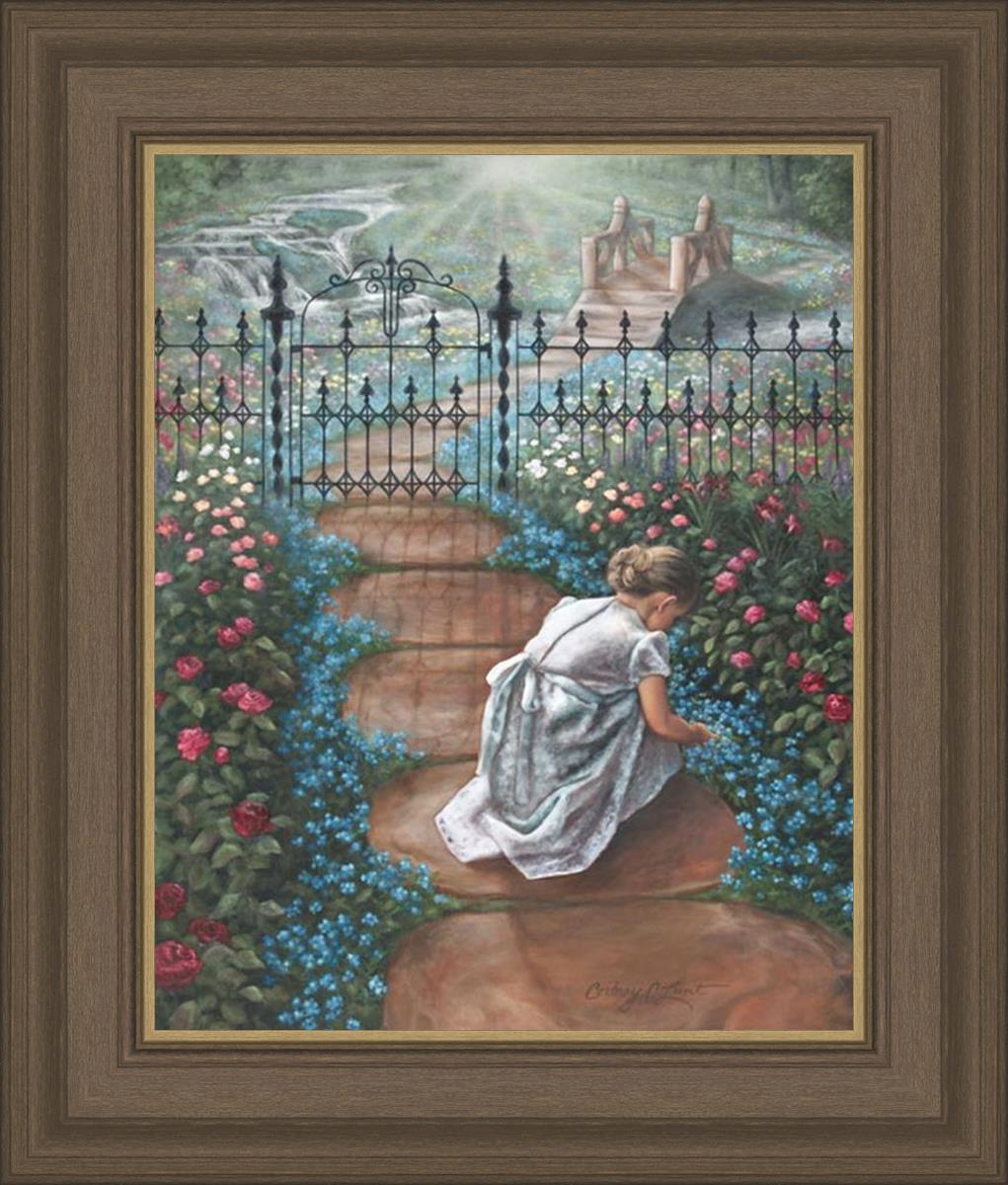 Forget Me Not