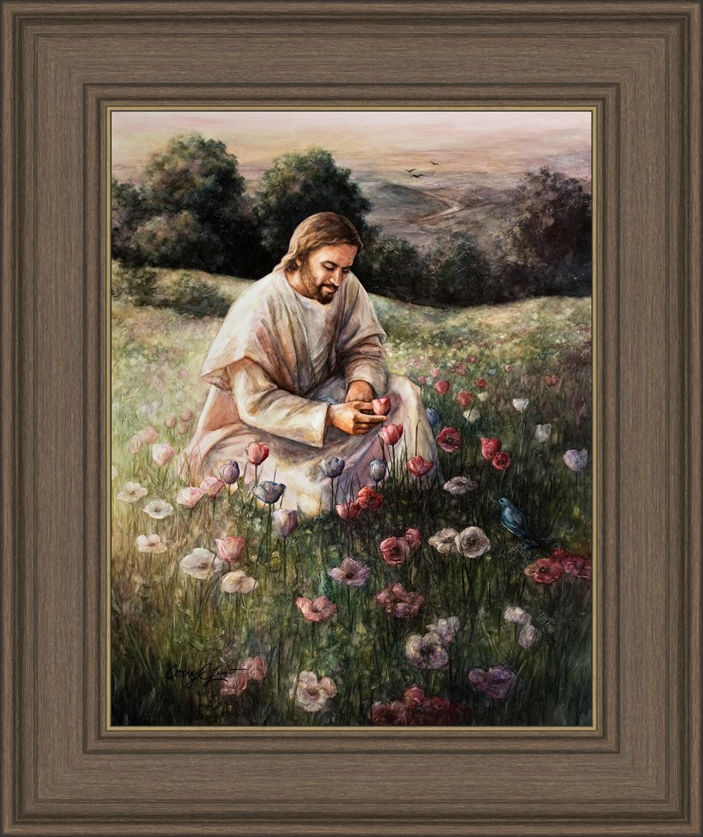 Lilies Of The Field