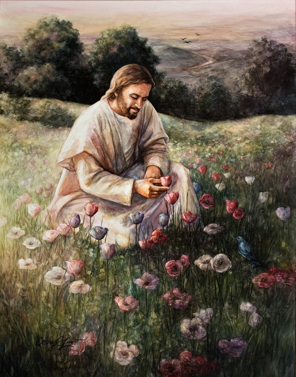 Lilies Of The Field