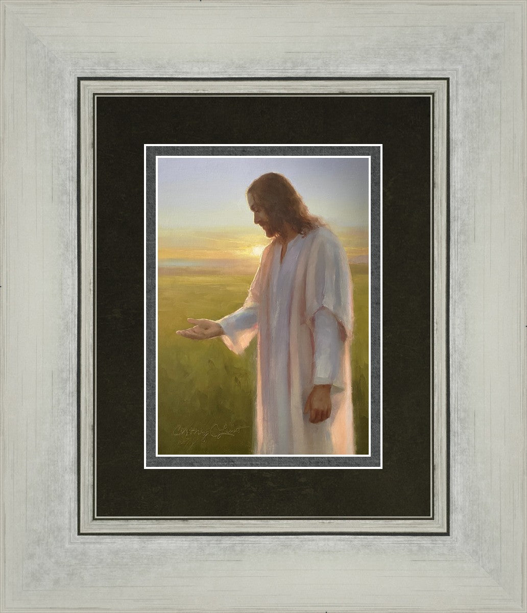 Light of The Son