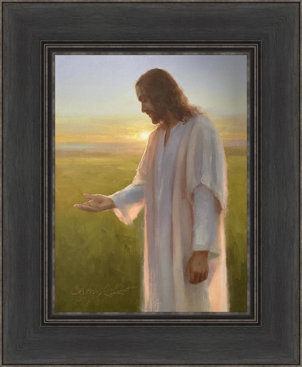 Light of The Son