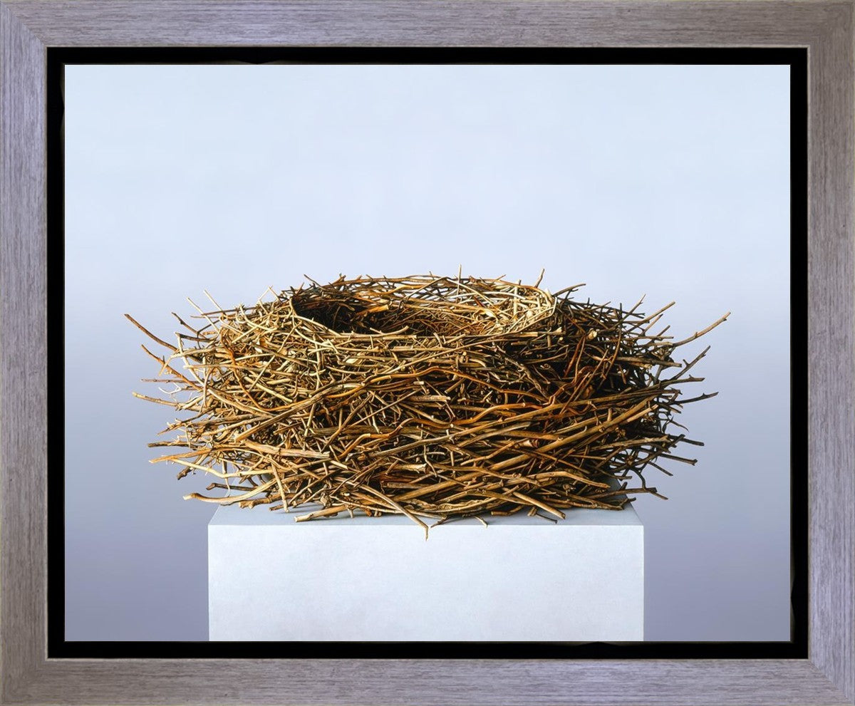 Nest Gallery Wrap