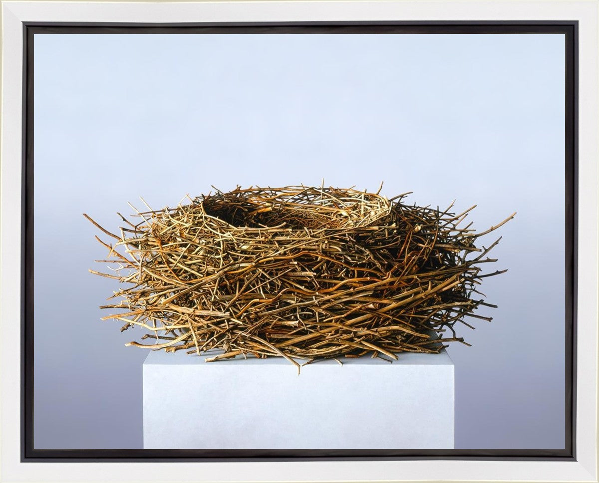 Nest Gallery Wrap