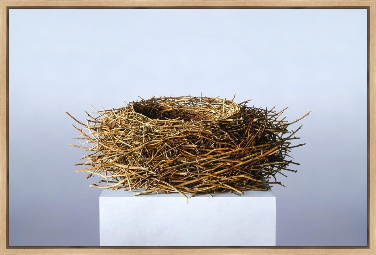 Nest Gallery Wrap