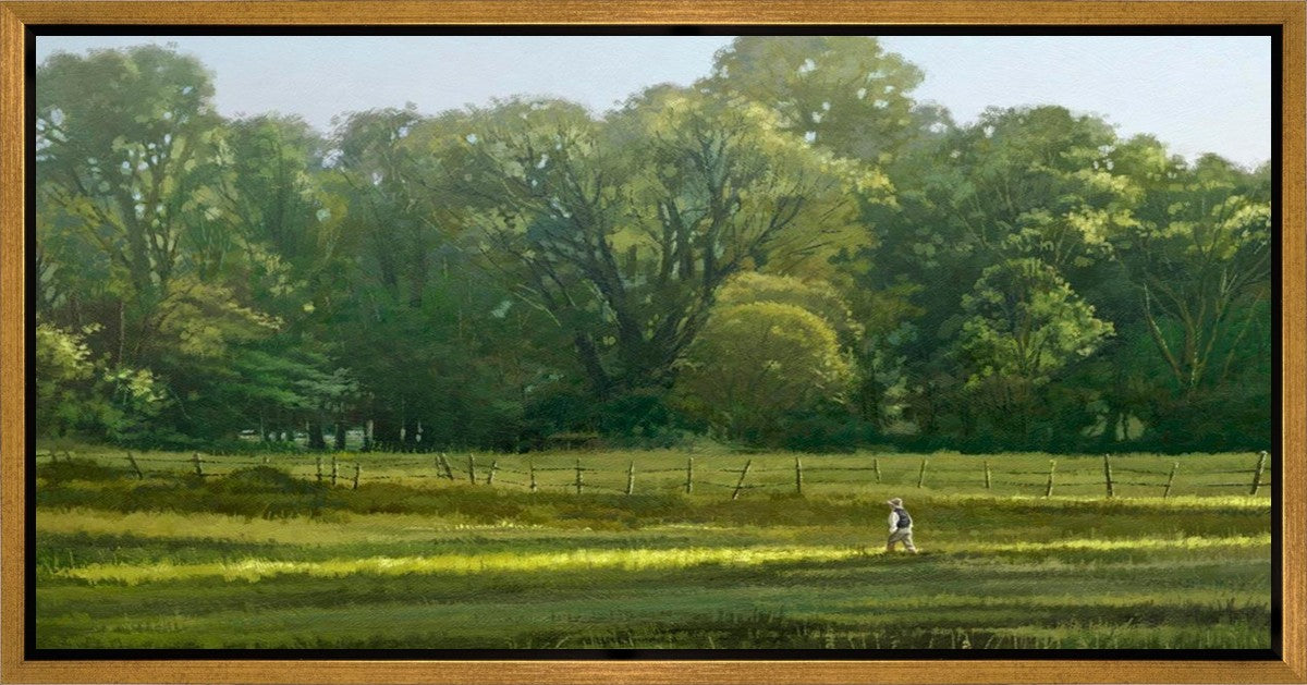 I Retired Into the Woods