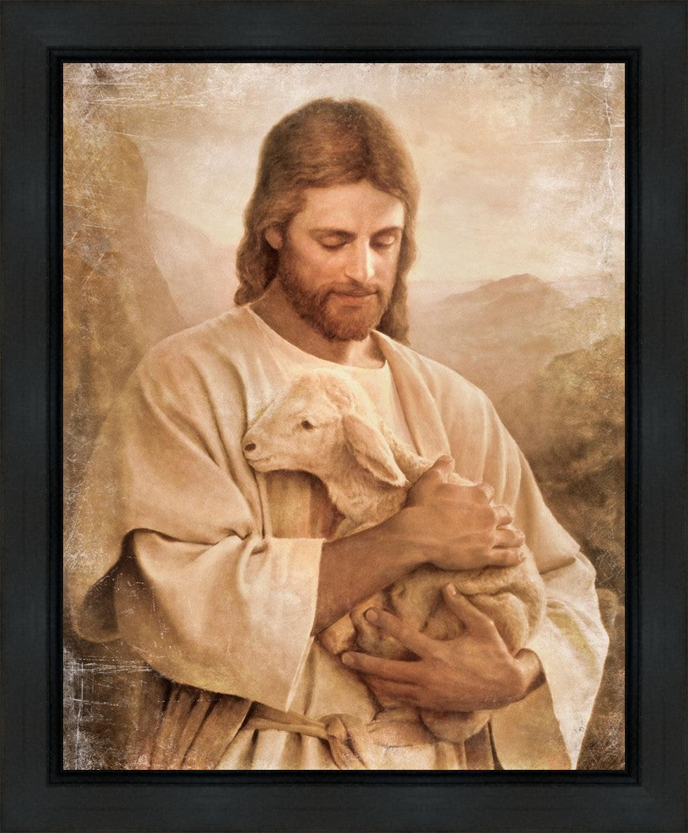 Lost Lamb Vintage Gallery Wrap