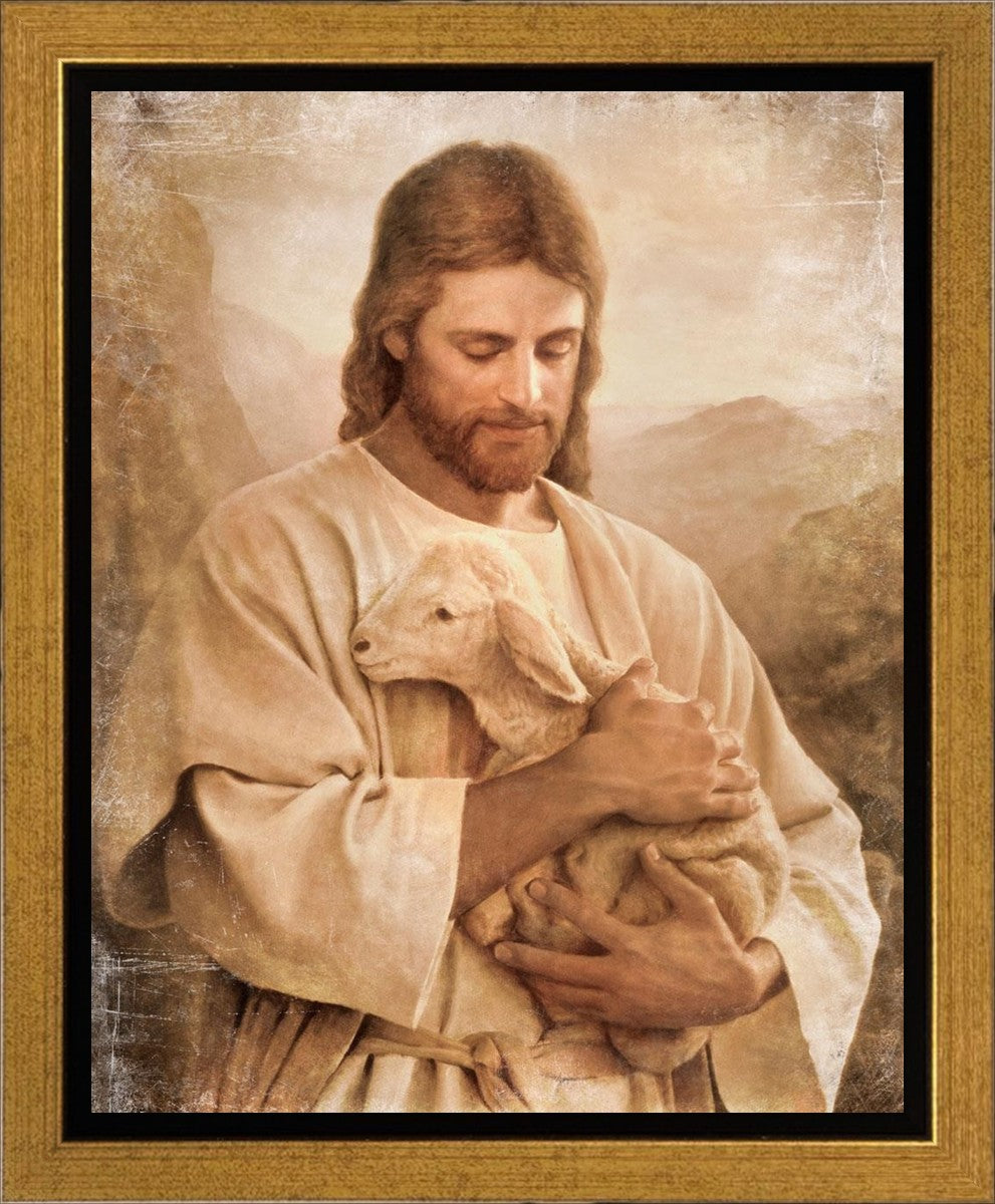 Lost Lamb Vintage Gallery Wrap