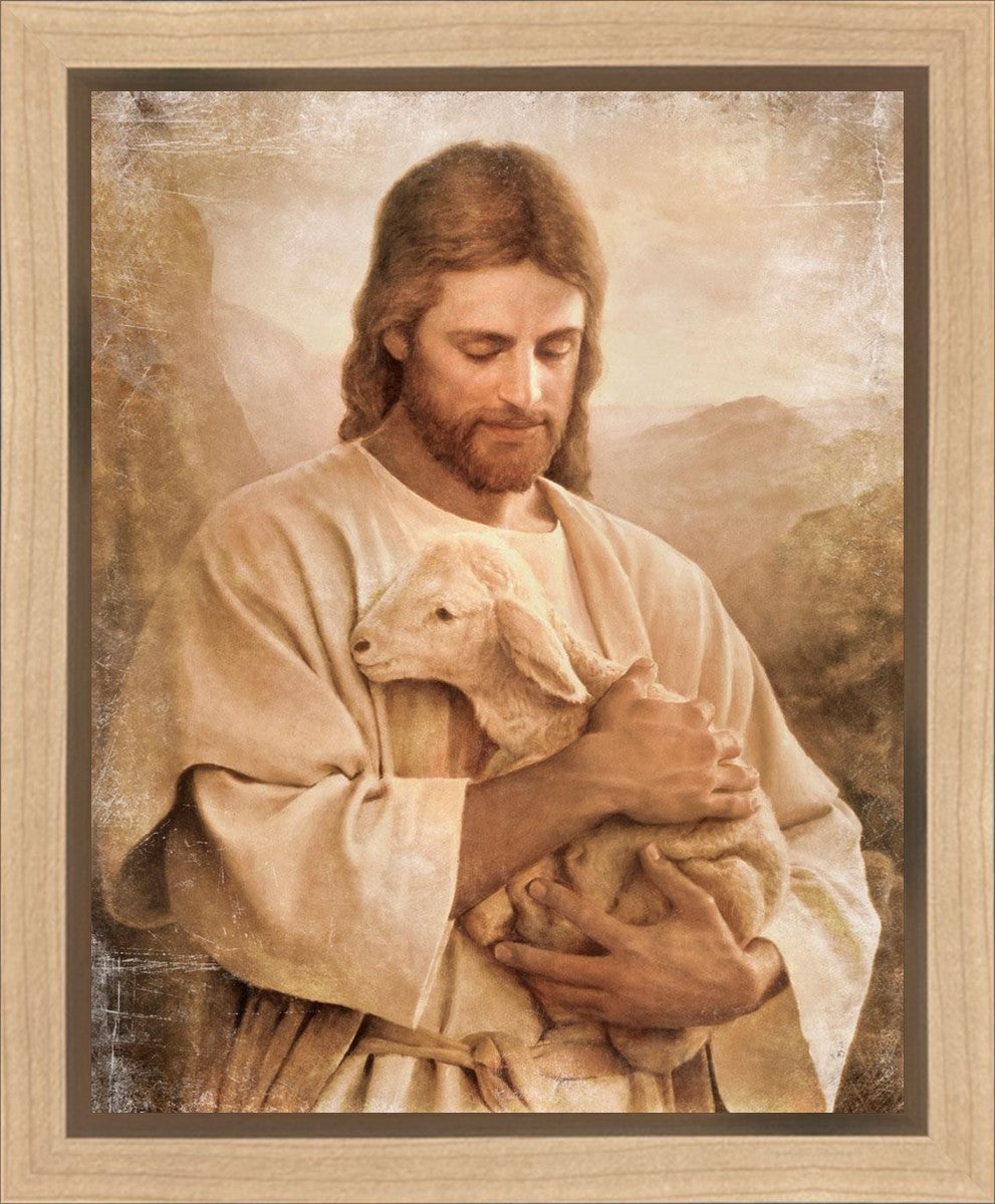 Lost Lamb Vintage Gallery Wrap