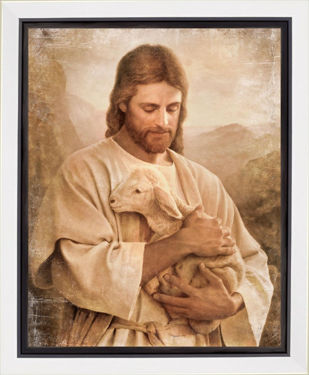 Lost Lamb Vintage Gallery Wrap