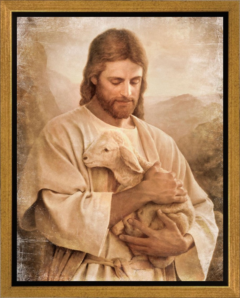 Lost Lamb Vintage Gallery Wrap