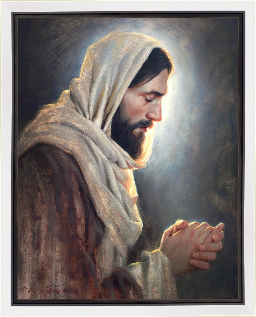 Our Light