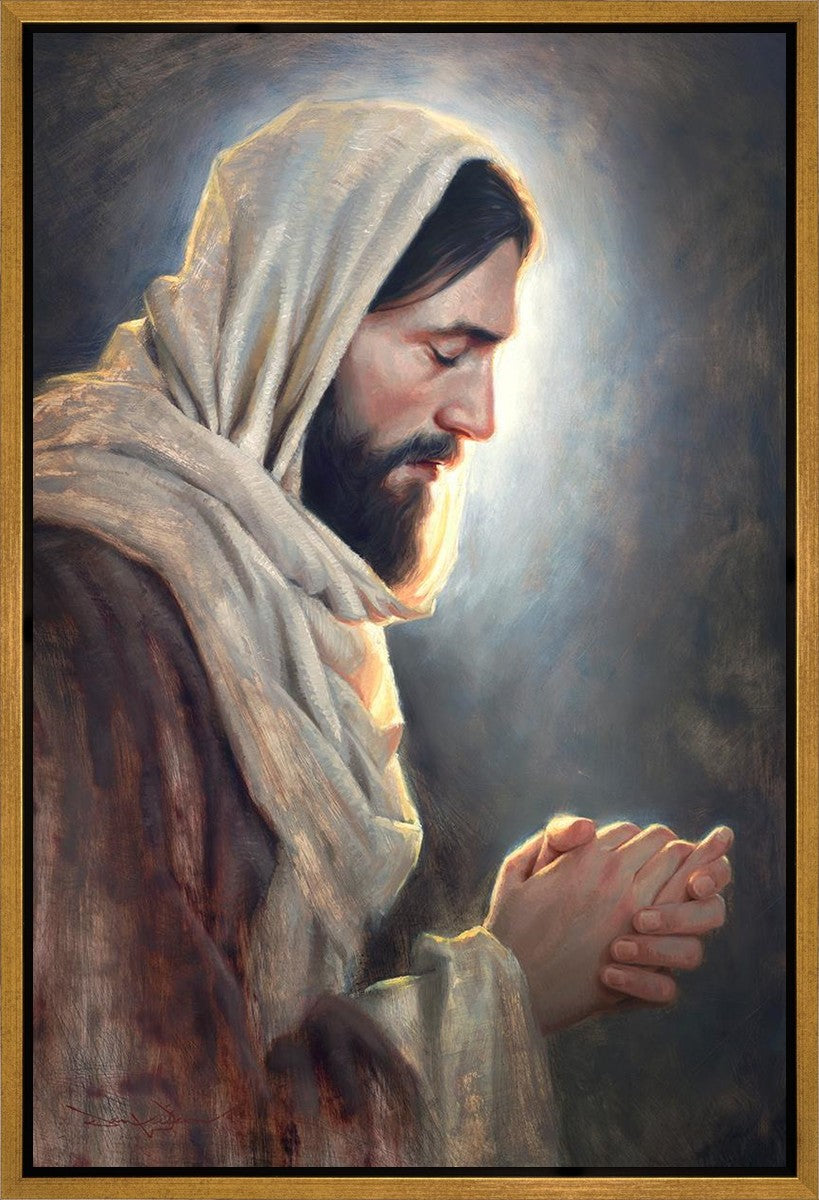 Our Light