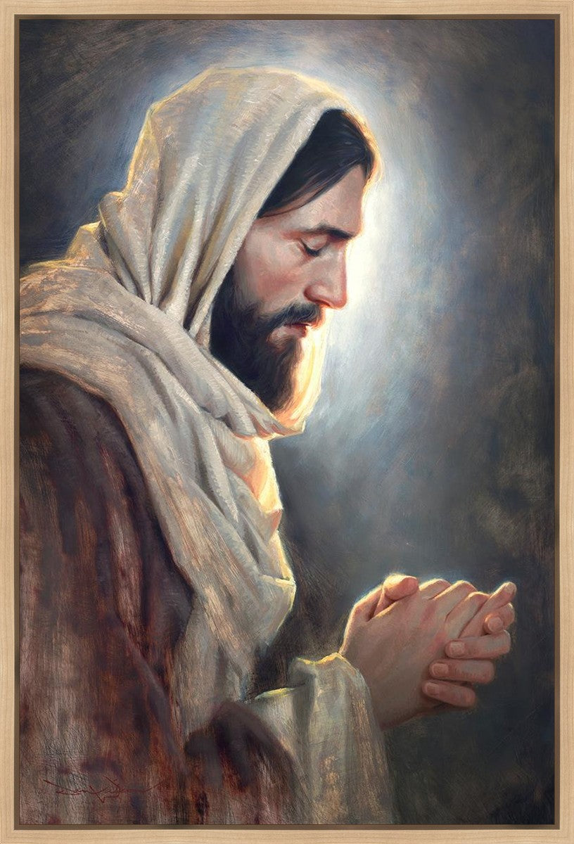 Our Light