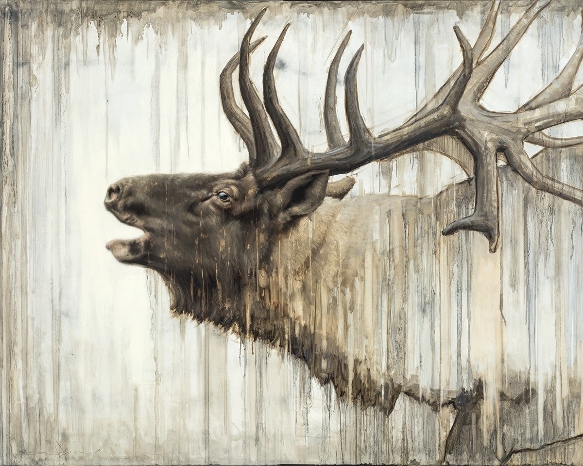 Nature's Art Gallery Wrap