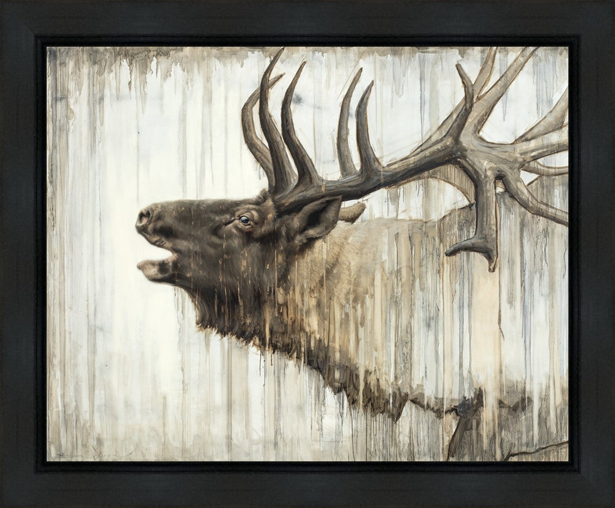 Nature's Art Gallery Wrap