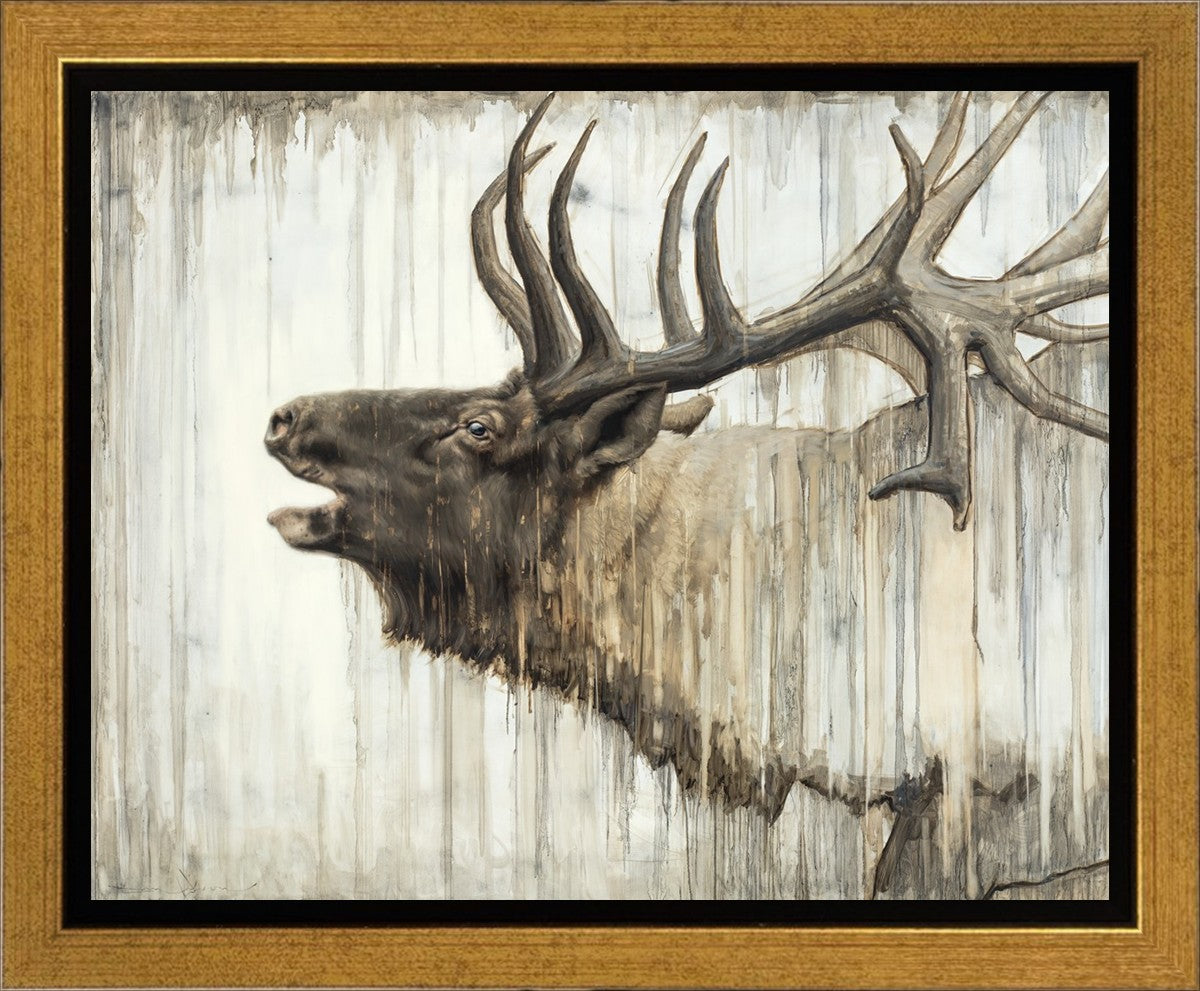 Nature's Art Gallery Wrap