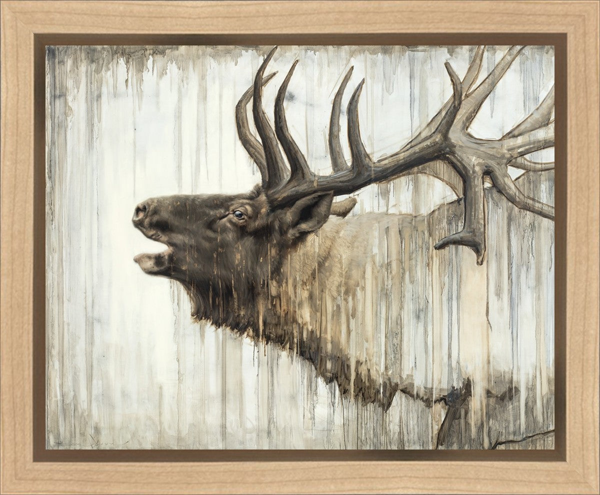 Nature's Art Gallery Wrap