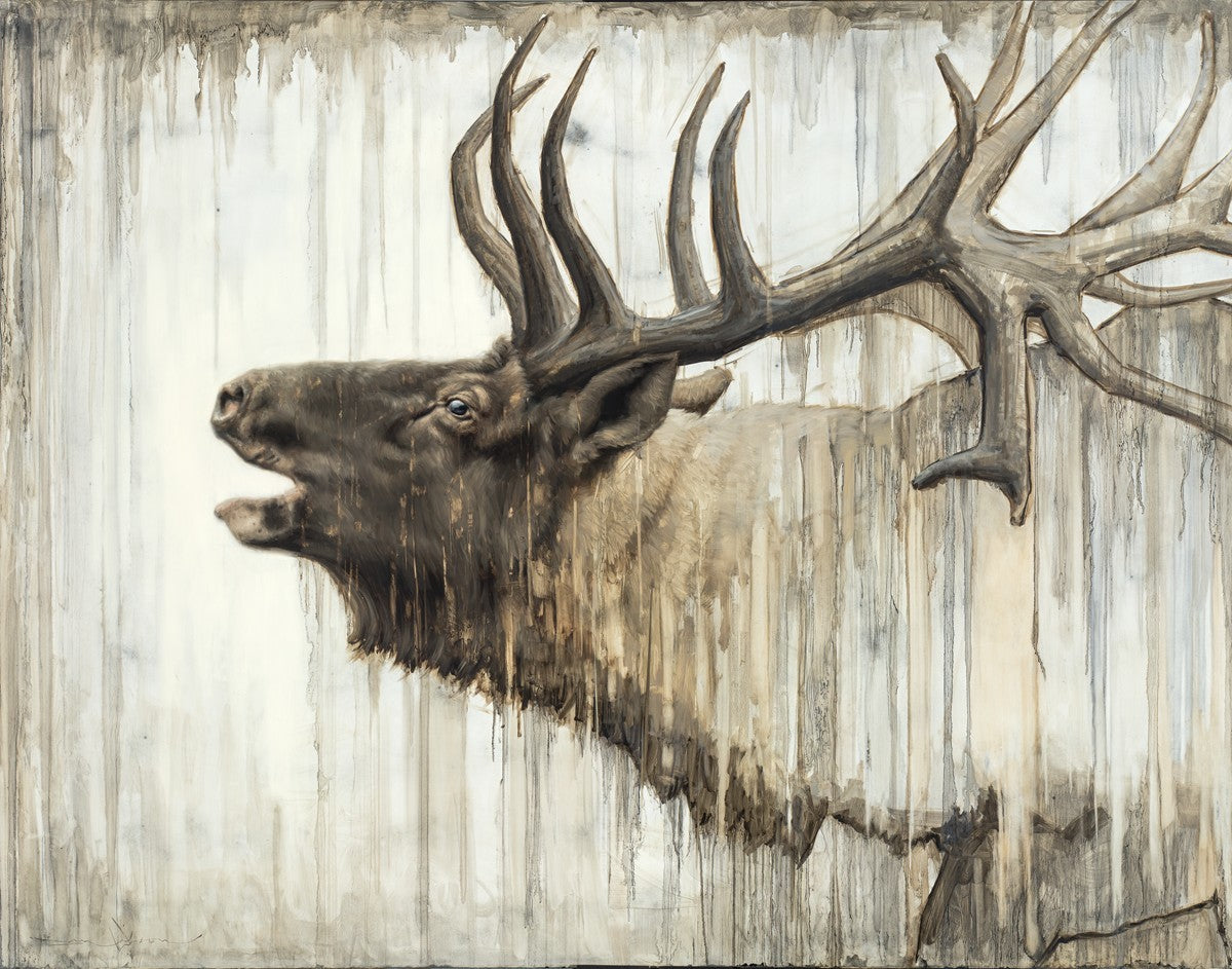 Nature's Art Gallery Wrap