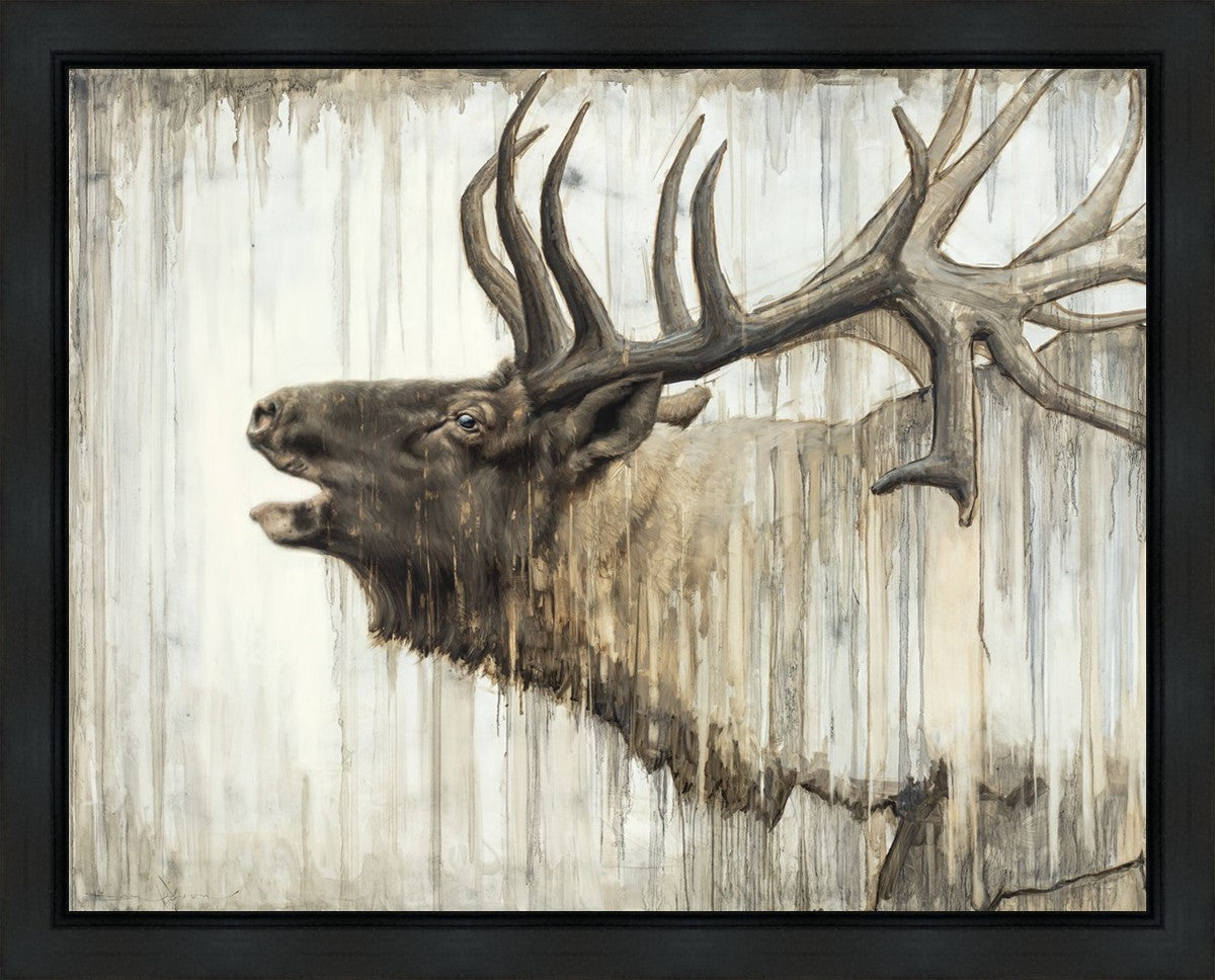 Nature's Art Gallery Wrap