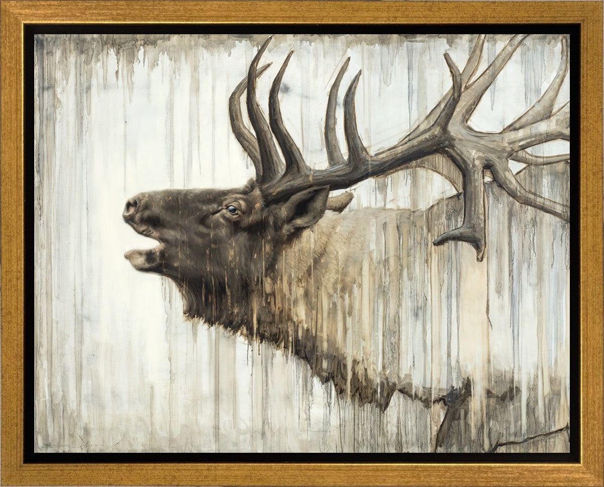 Nature's Art Gallery Wrap
