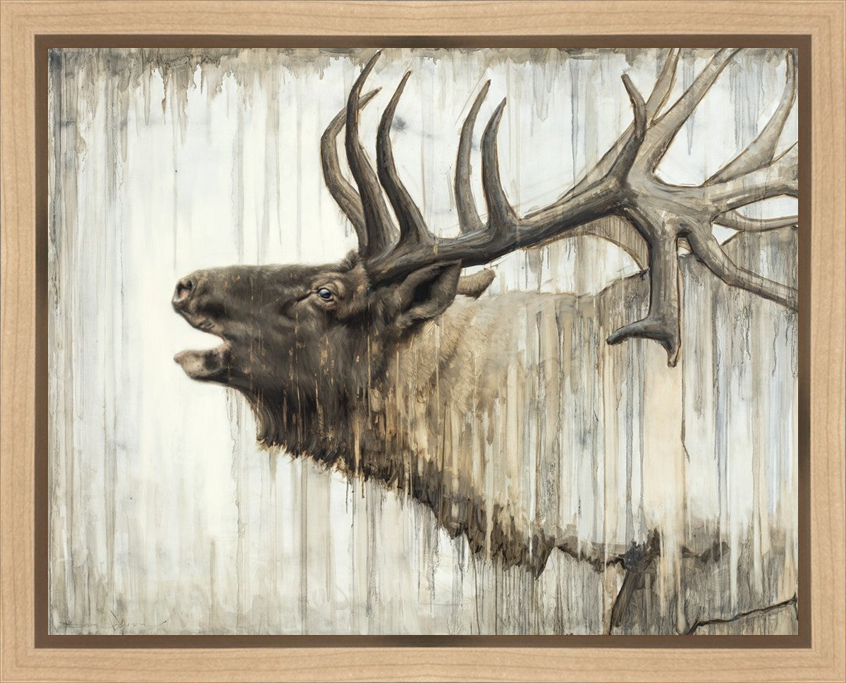 Nature's Art Gallery Wrap