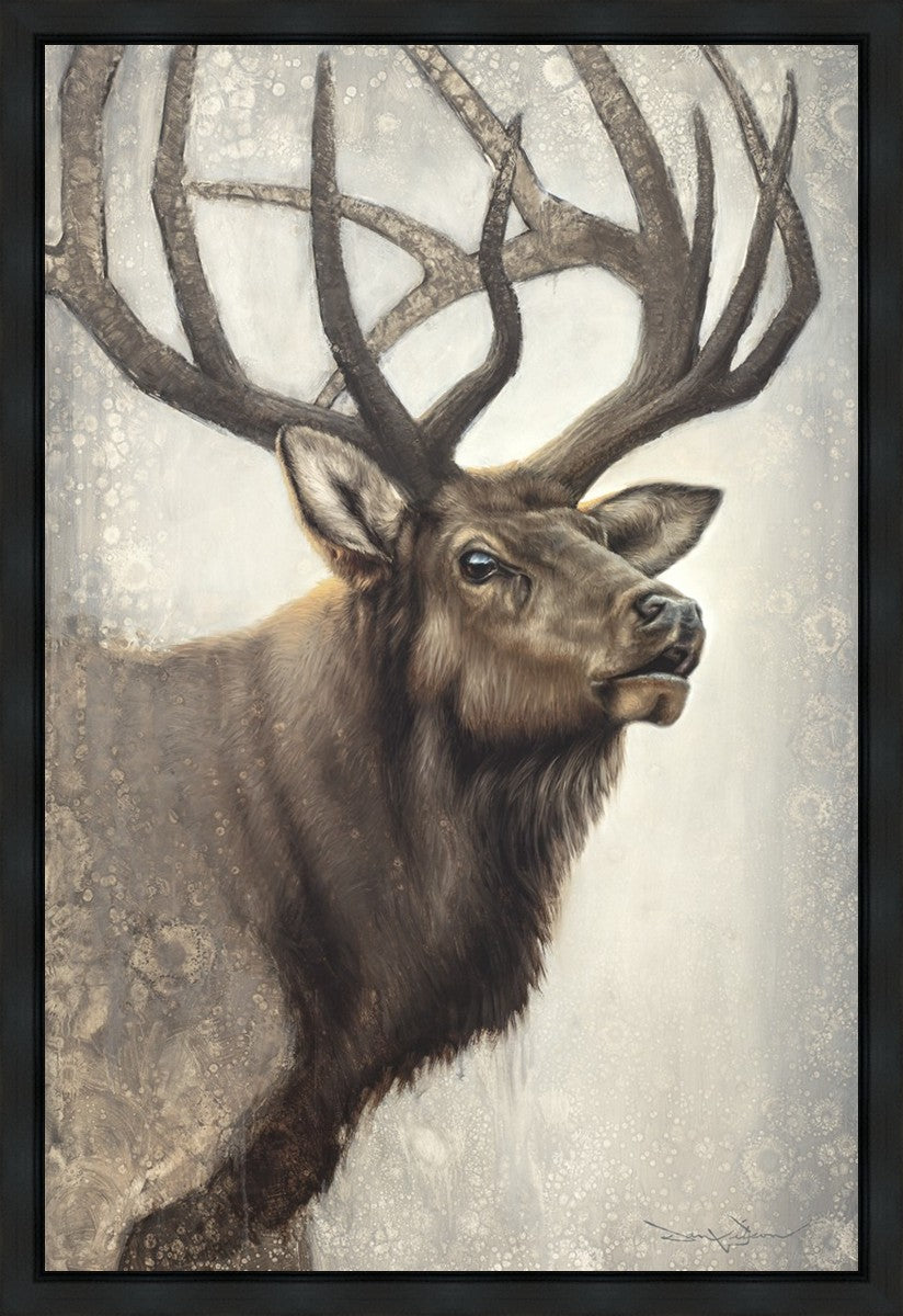 Nature's Allure Gallery Wrap