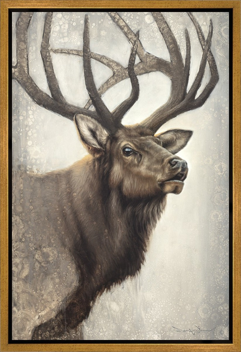 Nature's Allure Gallery Wrap