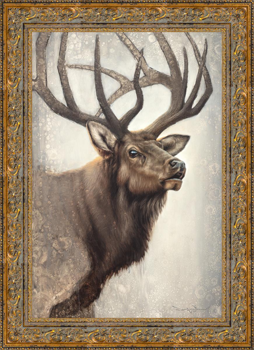 Nature's Allure