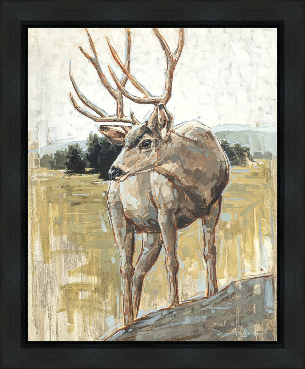 Colors of The Wild Gallery Wrap