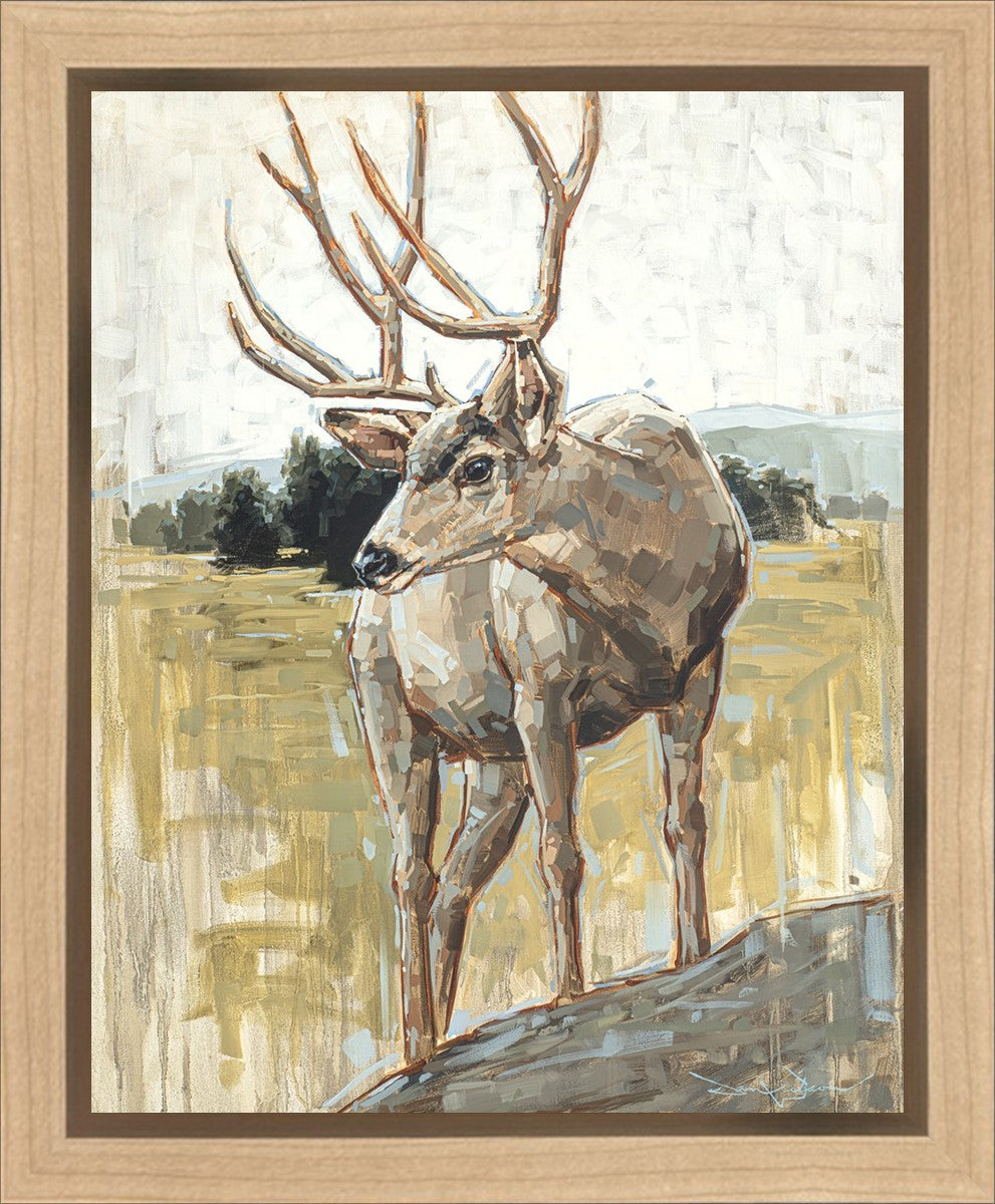 Colors of The Wild Gallery Wrap