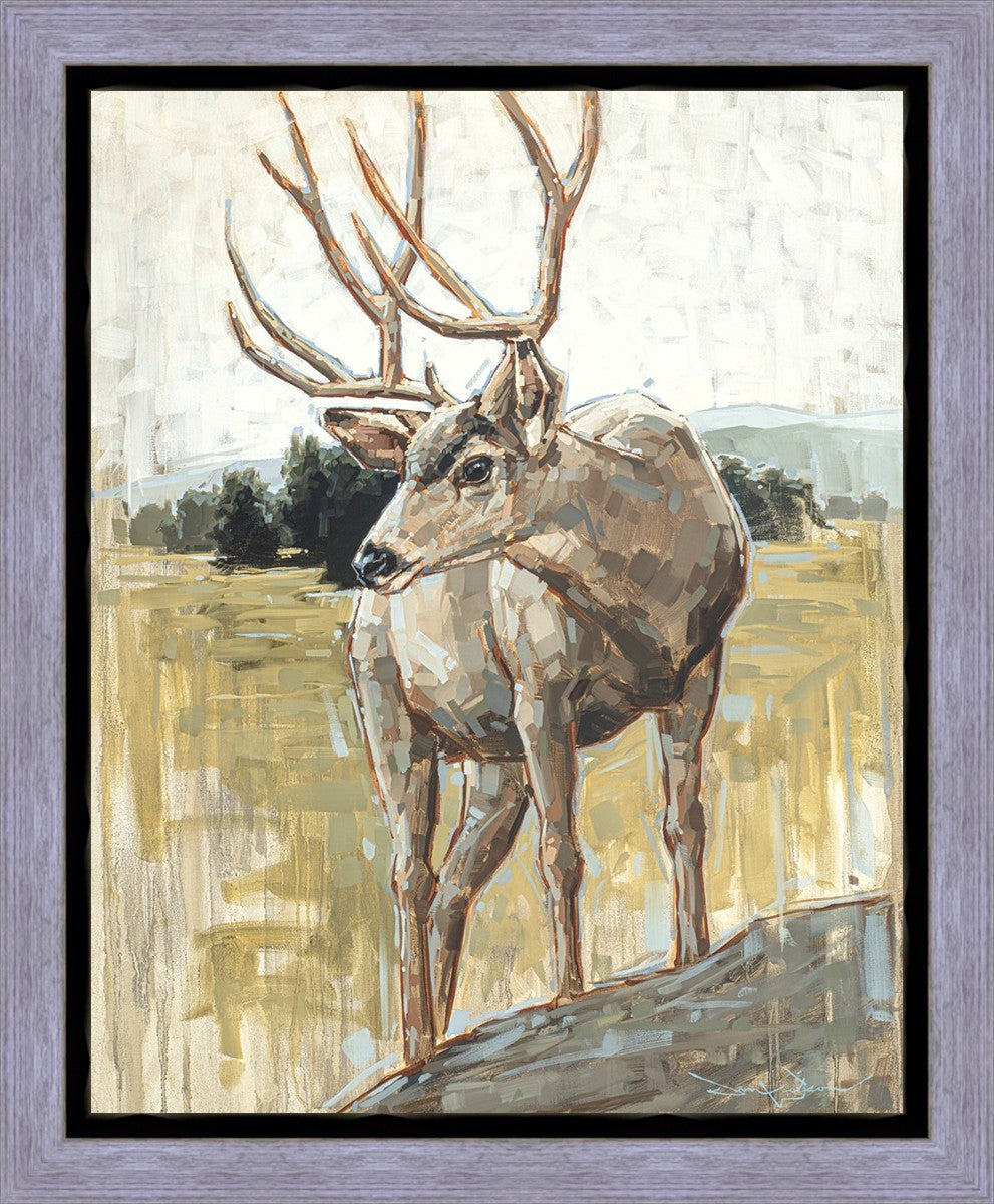 Colors of The Wild Gallery Wrap