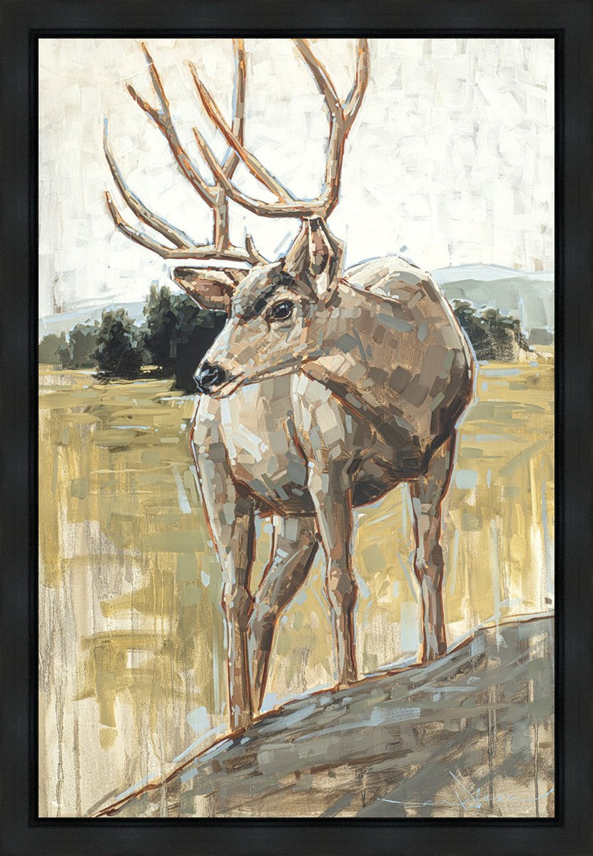 Colors of The Wild Gallery Wrap