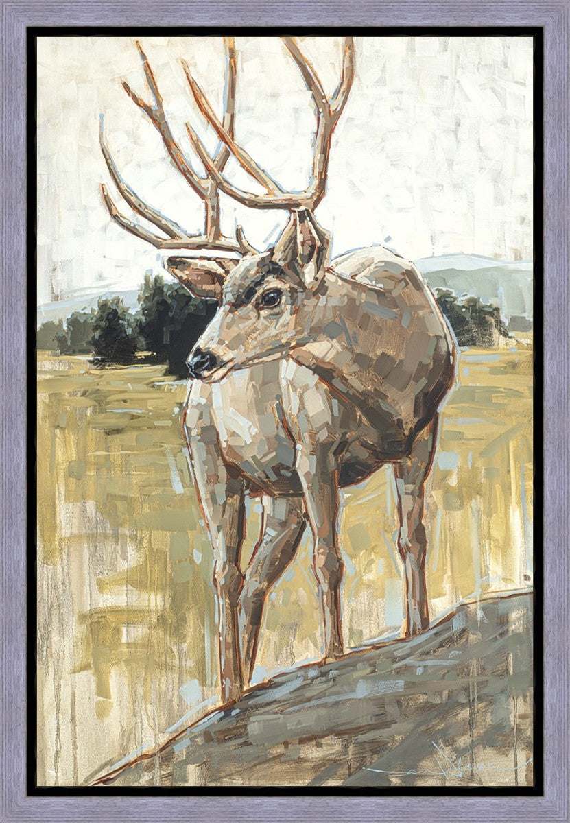 Colors of The Wild Gallery Wrap