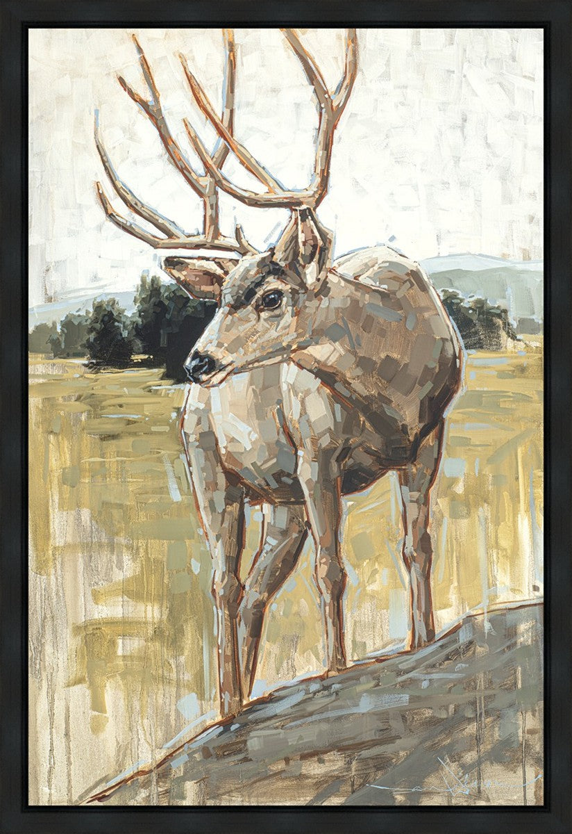 Colors of The Wild Gallery Wrap