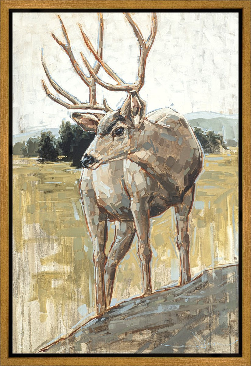 Colors of The Wild Gallery Wrap