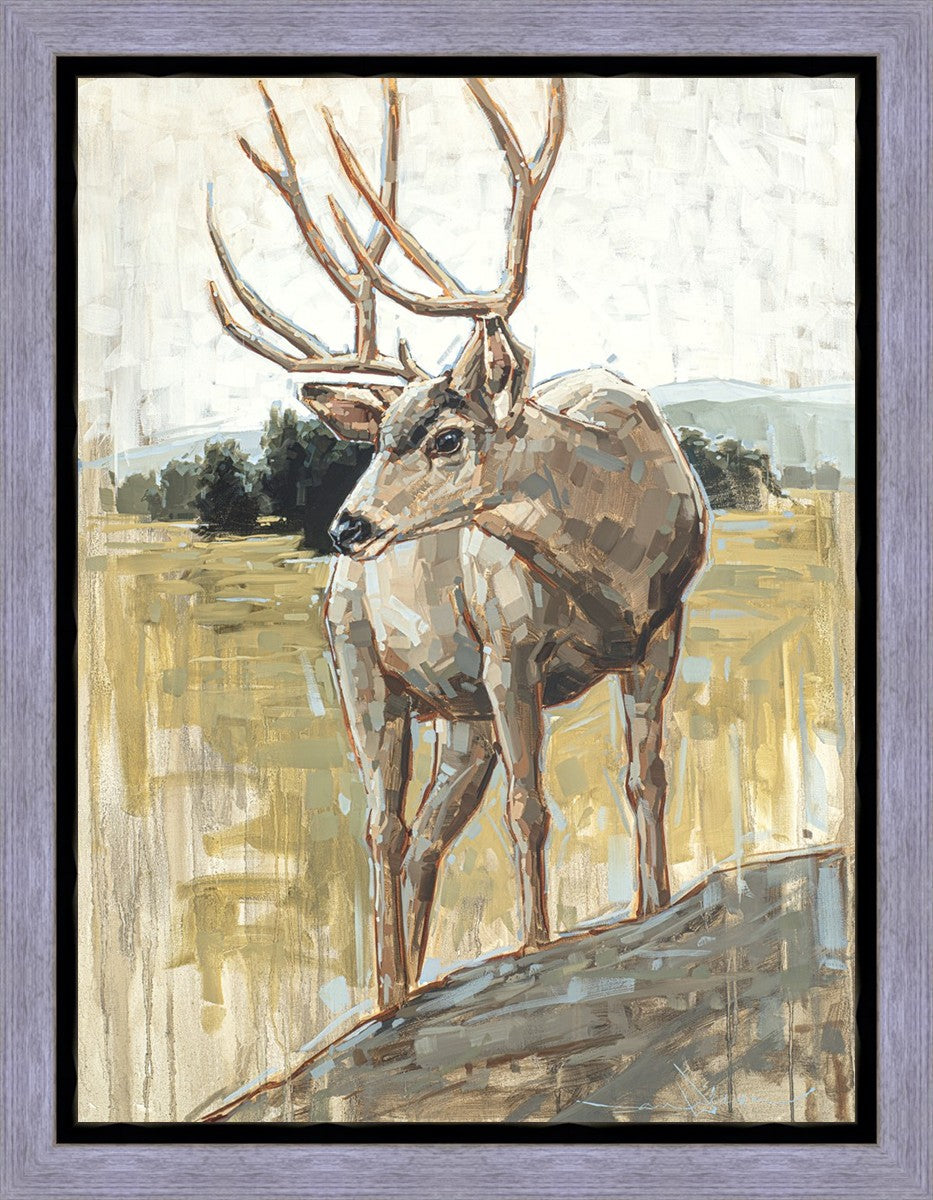 Colors of The Wild Gallery Wrap