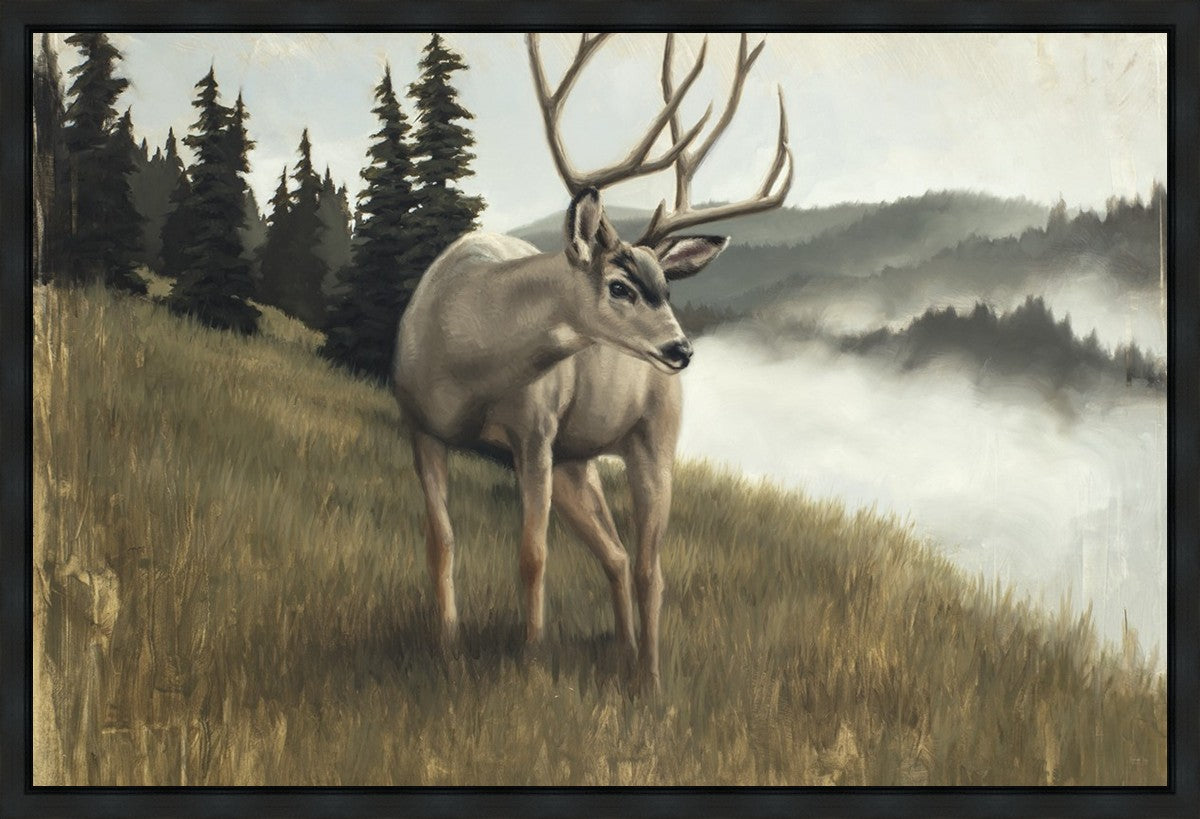 Nature's Silence