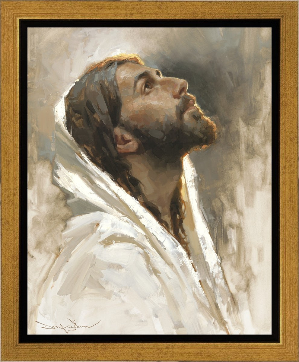 Beloved Son