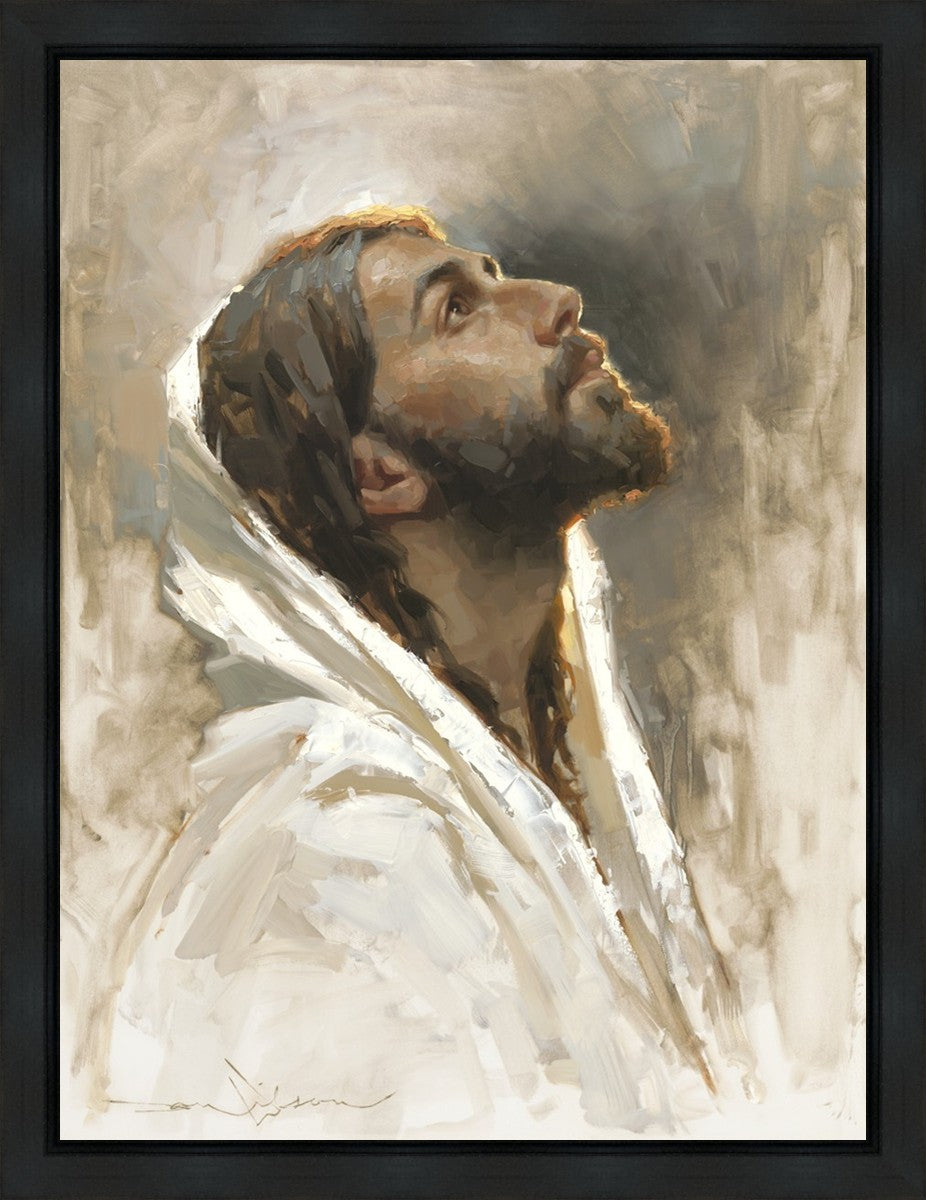 Beloved Son