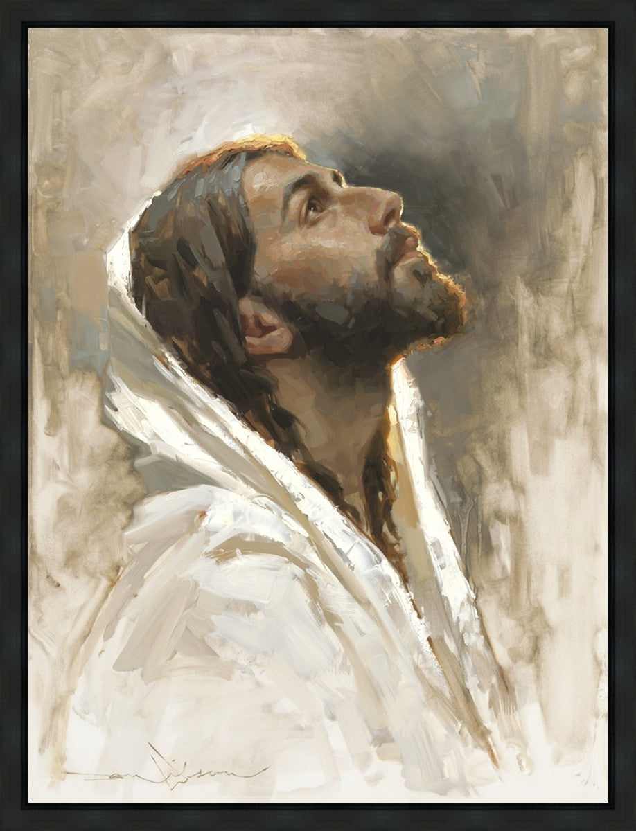 Beloved Son