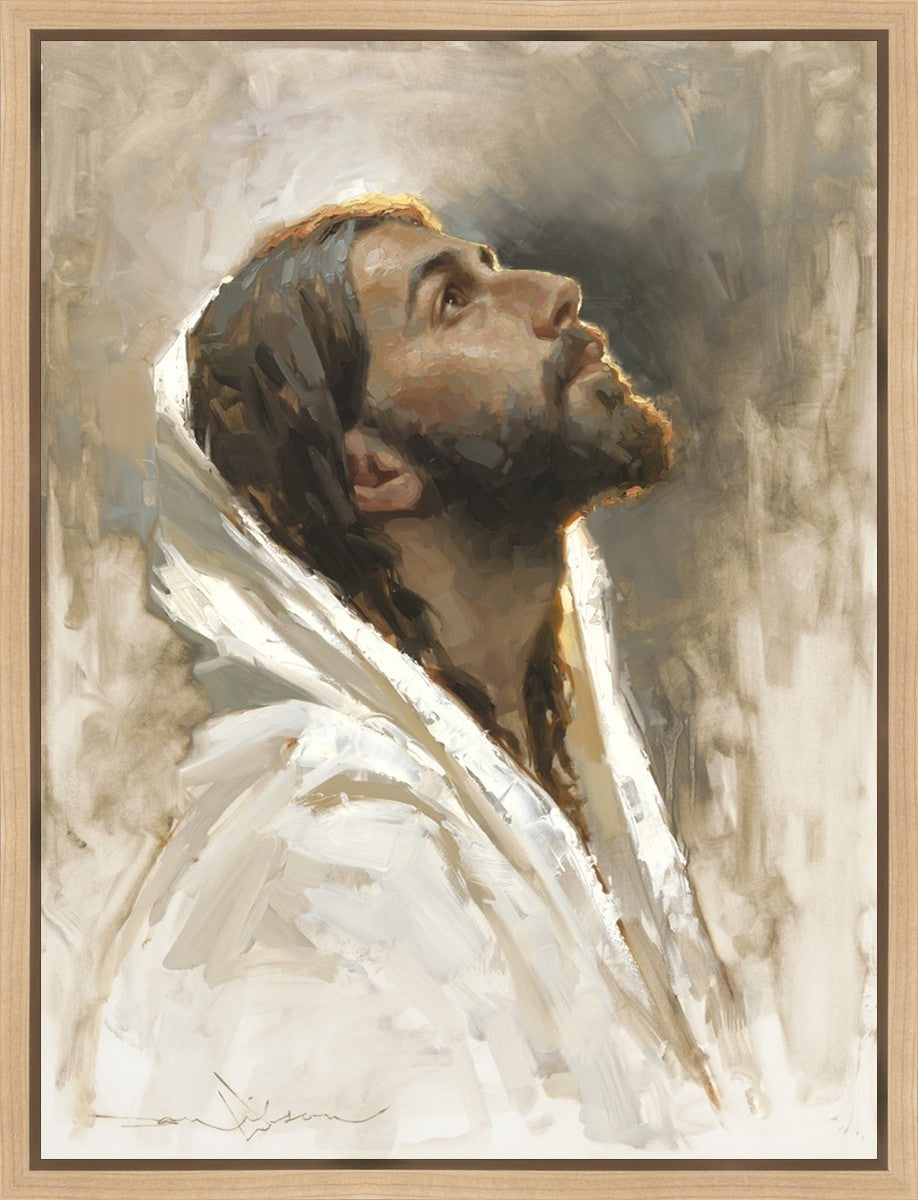 Beloved Son