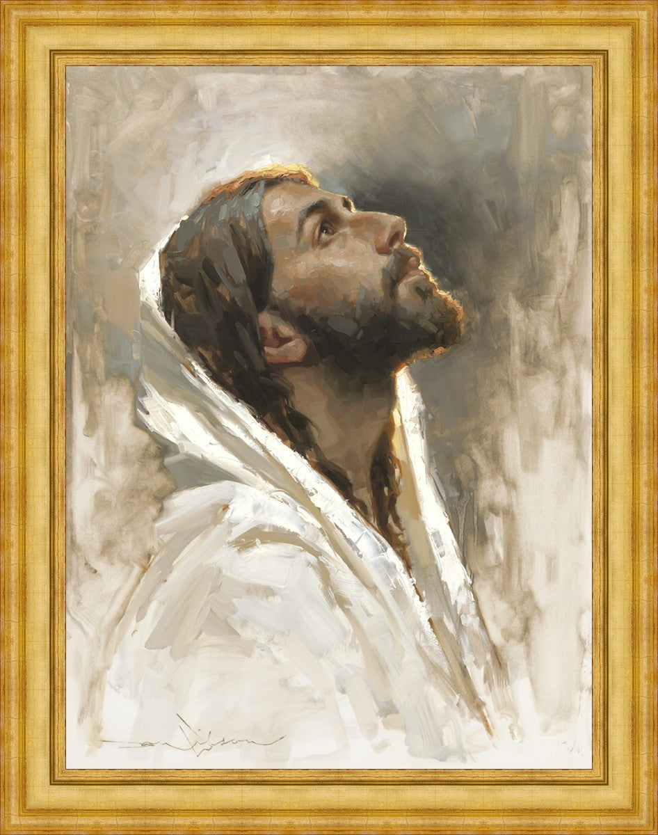 Beloved Son