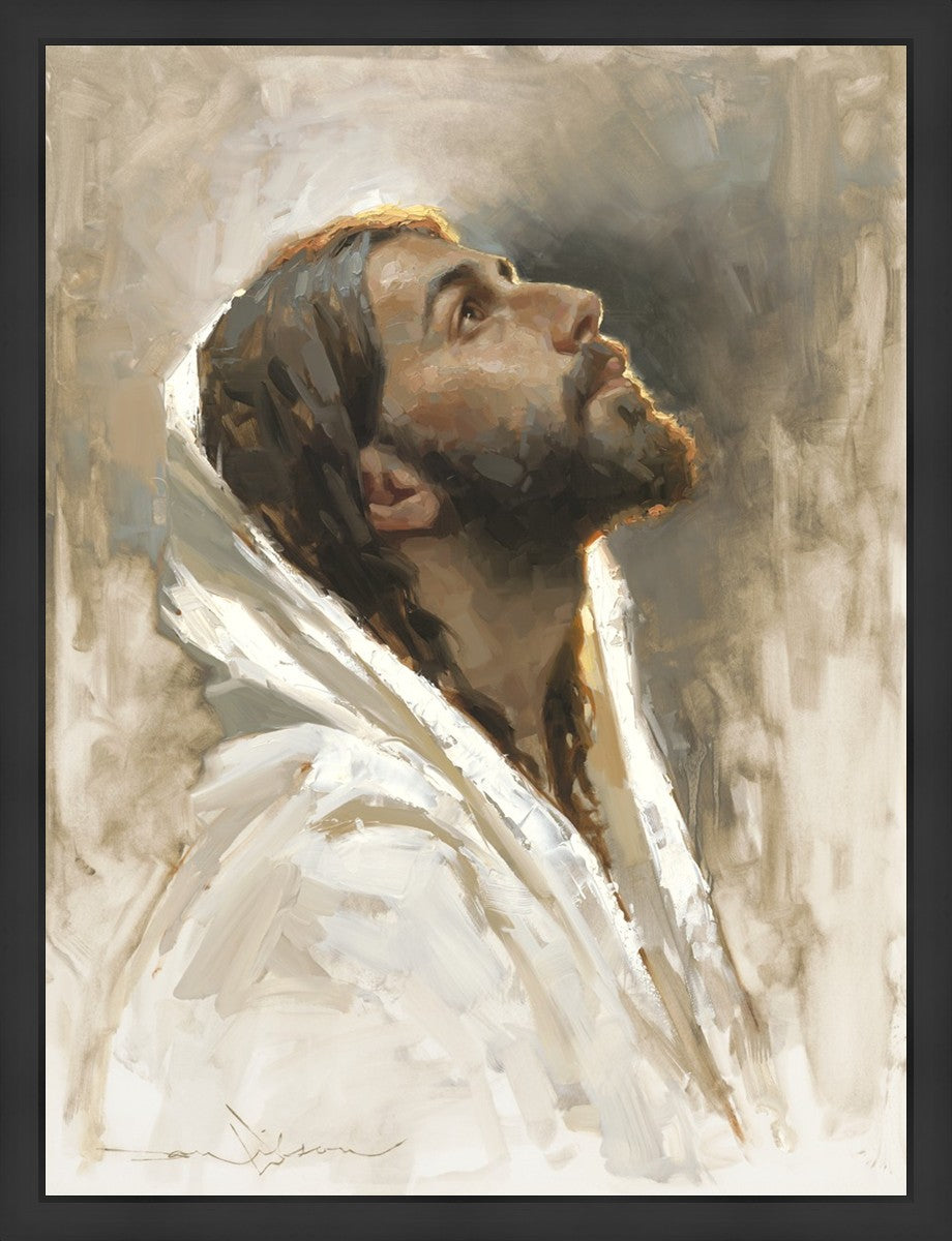 Beloved Son