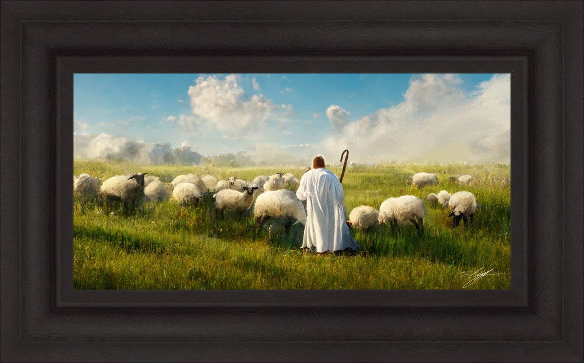 Counting Sheep