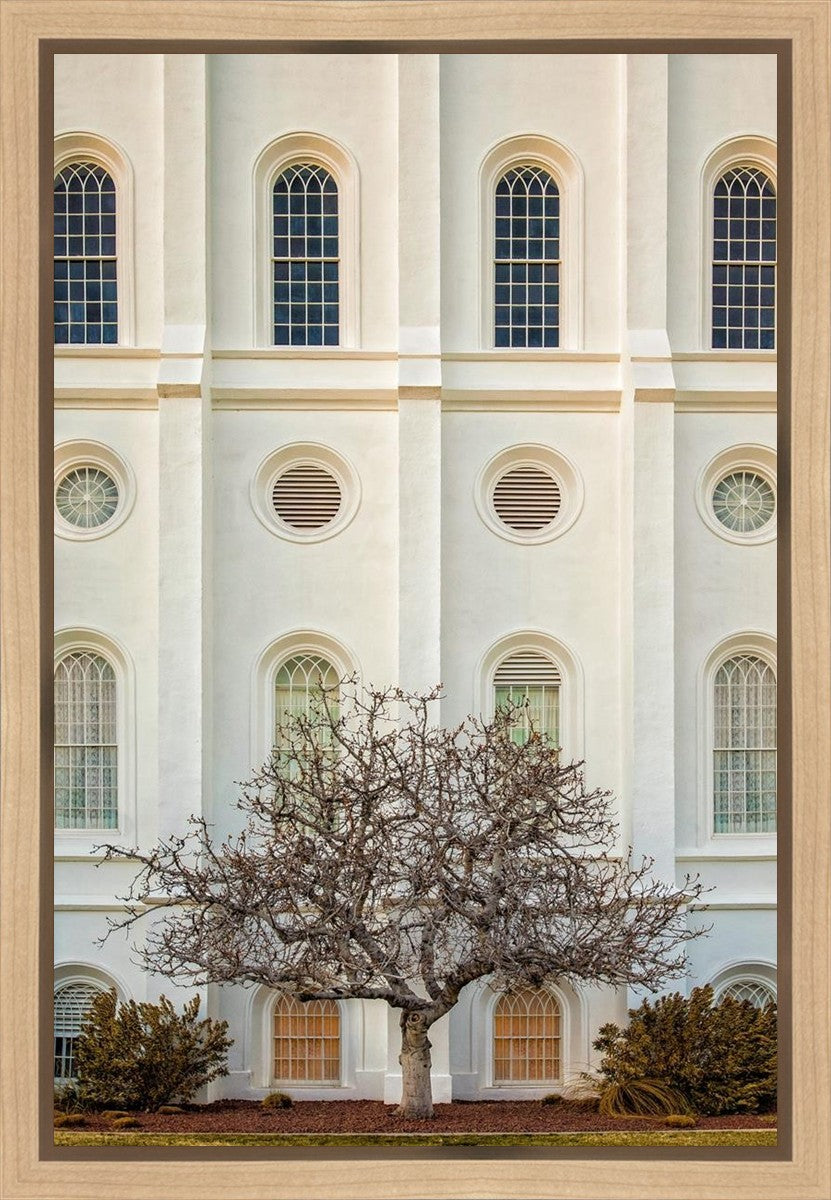 St George Temple 02 Gallery Wrap
