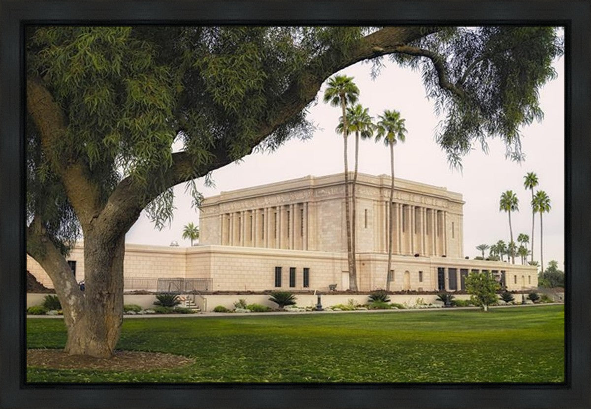 Mesa Temple 09 Gallery Wrap