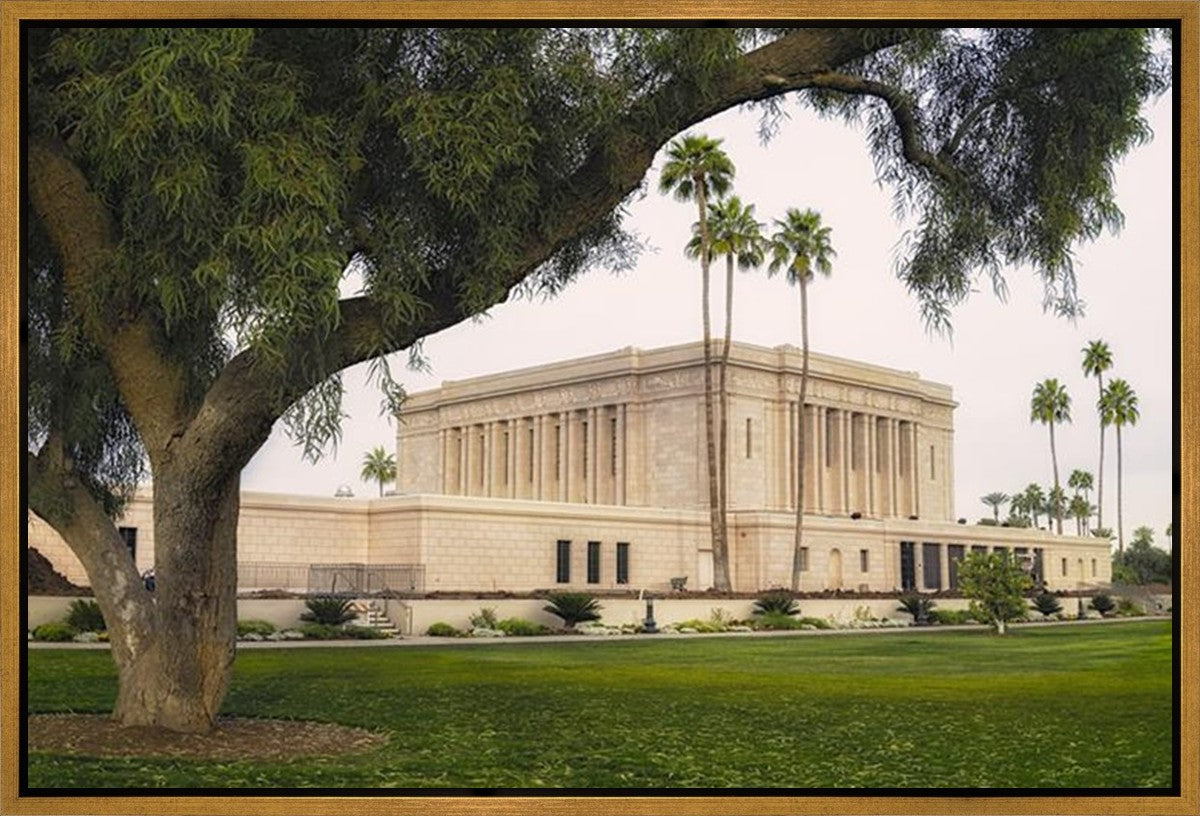 Mesa Temple 09 Gallery Wrap